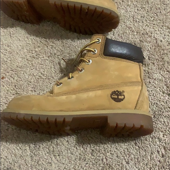 Timberlands - Picture 6 of 6